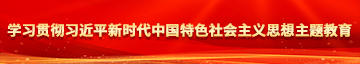 嗯大机巴好大好舒服视频学习贯彻习近平新时代中国特色社会主义思想主题教育